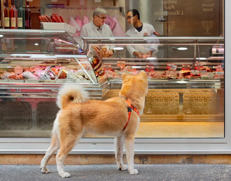Pet Superstore Buyer's Guide: How to Choose the Best Store for Food, Supplies & Services