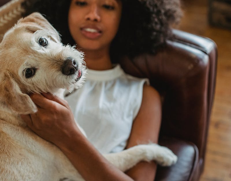 Pet and Pets: The Ultimate Guide to Caring for Your Furry Friends