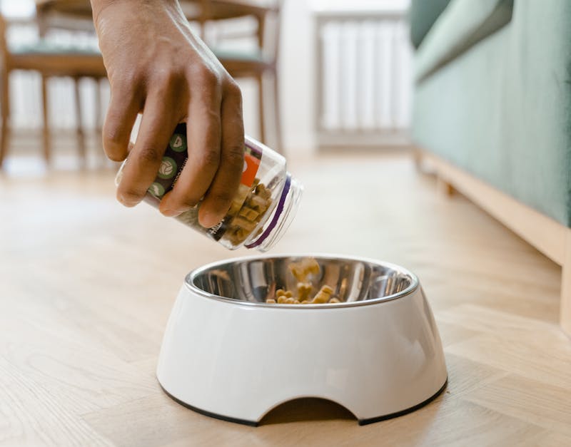 The Ultimate Guide to Pet Supplies: Everything You Need to Know