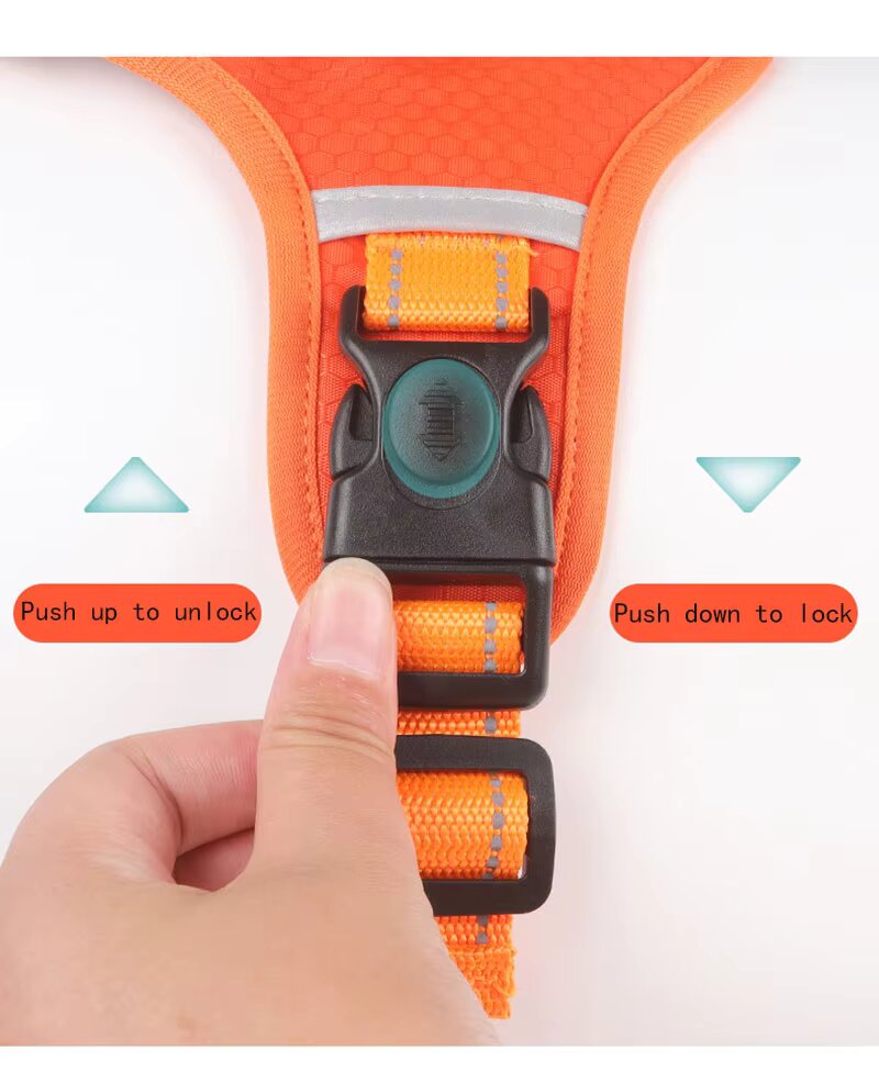 Quick Release Outdoor Dog Harness